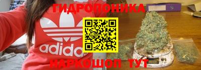 гидропоника Бугуруслан