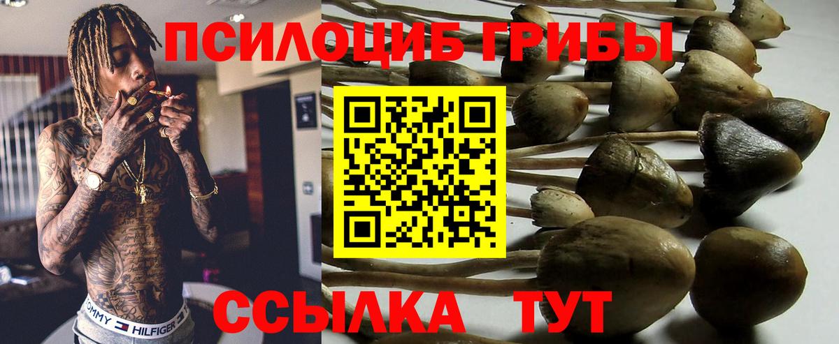 Галлюциногенные грибы мухоморы Ростов-на-Дону